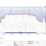 Heartrate during Formula race.