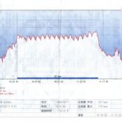 Igor Sushko - heart rate during Formula Renault race.